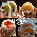 주정차16 | [제주도] 제주공항 근처 모찌 &#34;수제홍과일모찌 연동점&#34; 내돈내산 후기