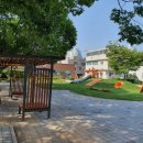 요촌3어린이공원 이미지