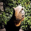 아이존팝 용인기흥점 | 🦕 다이노베이 기흥점 후기 – 아이랑 놀기 딱 좋은 공룡 테마 실내 놀이터!