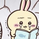 이브방