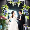 초콜릿아일랜드인 네이버블로그