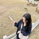 어메너티랩 | 증평 벨포레리조트 가족여행 추천, 미디어아트센터 모토아레나까지 완벽 코스