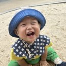 대전청사아람어린이집 이미지