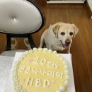 누누키친 이미지