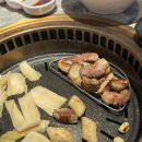 꼬끼오-청양 이미지