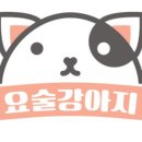 요술강아지 이미지