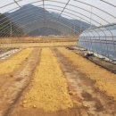 새경남주유소 이미지