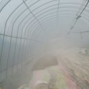 모터하우스 이미지