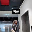 이효리 카카오 검색결과