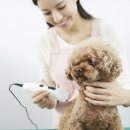 애견미용사 3급 자격증 과정 1 이미지