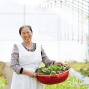 산해진미맛집 이미지
