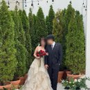 로렌하우스 초록나무 배경 촬영 후기