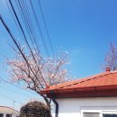 덕천리 삼거리 민박 이미지