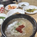 자매해장국 | 제주 서귀포 해장국 맛집 "자매해장국" 아침식사 후기