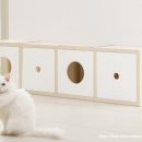 펫타워 | 큐빅스펫 고양이터널 숨숨집 캣타워 사용후기 🐈