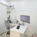 도림하나동물병원 네이버블로그