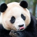 바오제주점