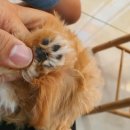 베스트 종합 동물병원 이미지