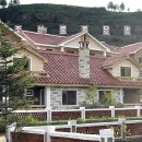 갑산농장 이미지