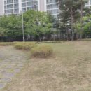 은빛근린공원 이미지