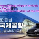 선학모밀 이미지