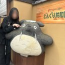 둏다 | 404