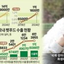 다움 펫푸드 아주경제