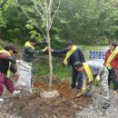 오도미 경관 숲 이미지