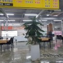 금메달정육