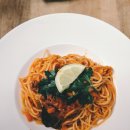 숲속의강아지 이미지