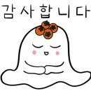 봄날의댕댕이 이미지