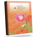 다시봄날