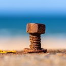 바보온달 이미지