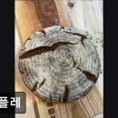 [혜화 카페] 콩플레 콩플레, 건강한 빵의 매력