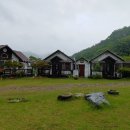 라스텔라편백숲 이미지