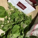 호식이두마리치킨점촌점 이미지