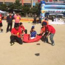 숲속다원유치원 이미지