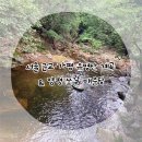 쏘갈매운탕 | 서울 근교 등산 “가평 유명산 계곡” 산행 코스 &amp; 양평 쏘갈 매운탕 다녀왔어요!