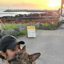 신제주동물병원 이미지