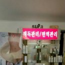 수피아 에스테틱 네이버블로그