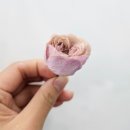 꽃핀들 이미지