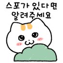 킹빠 이미지