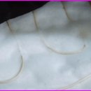 세진의료기 이미지