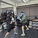 용인대SM복싱클럽 길동점 이미지