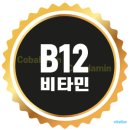 B12-2 이미지