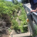 영동의원 이미지