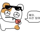 카르폰