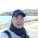 심부름행정사 이미지