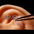 와 asmr 이거 쩐다 이미지