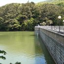 부산진구-31 이미지